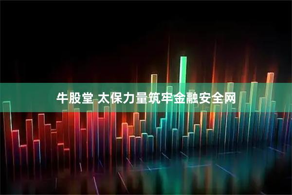牛股堂 太保力量筑牢金融安全网