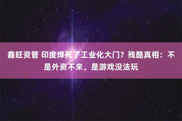 鑫旺资管 印度焊死了工业化大门？残酷真相：不是外资不來，是游戏没法玩