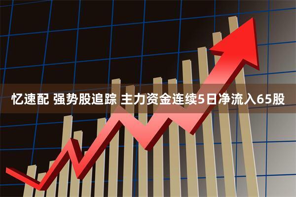 忆速配 强势股追踪 主力资金连续5日净流入65股