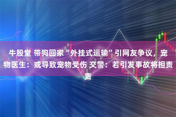 牛股堂 带狗回家“外挂式运输”引网友争议，宠物医生：或导致宠物受伤 交警：若引发事故将担责