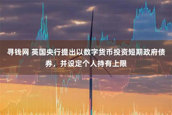 寻钱网 英国央行提出以数字货币投资短期政府债券，并设定个人持有上限